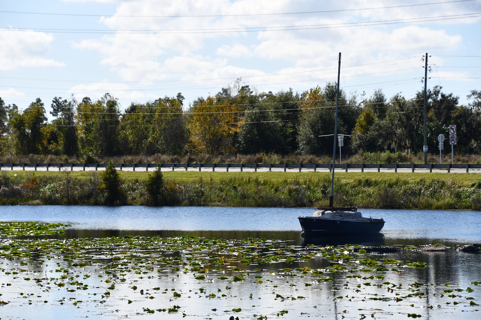 An overview of bankruptcy law in Clermont with a visual representation of a law book.